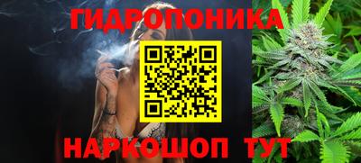 скорость Ярцево