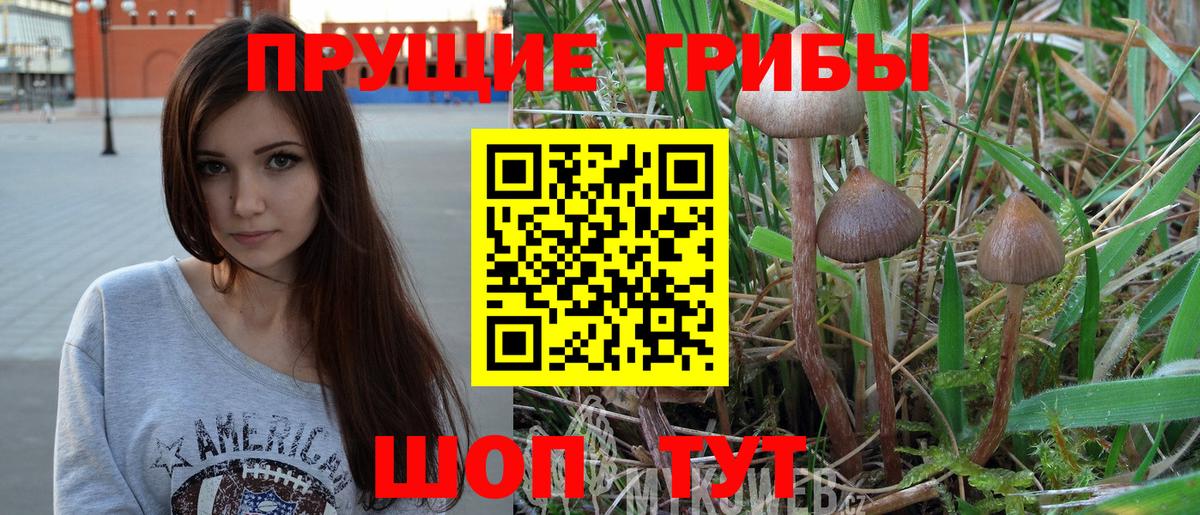 Галлюциногенные грибы MAGIC MUSHROOMS  Вход с VPN  Аргун 